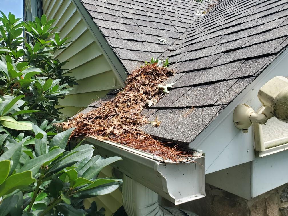 dead leaves on gutter